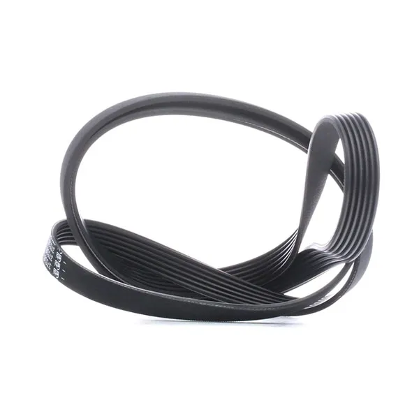 DAYCO 6PK1995 V-ribbed belt