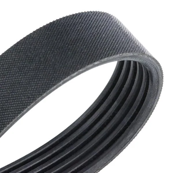 DAYCO 6PK1995 V-ribbed belt - Hình ảnh 3