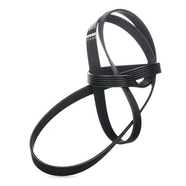 DAYCO 6PK1995 V-ribbed belt - Hình ảnh 2